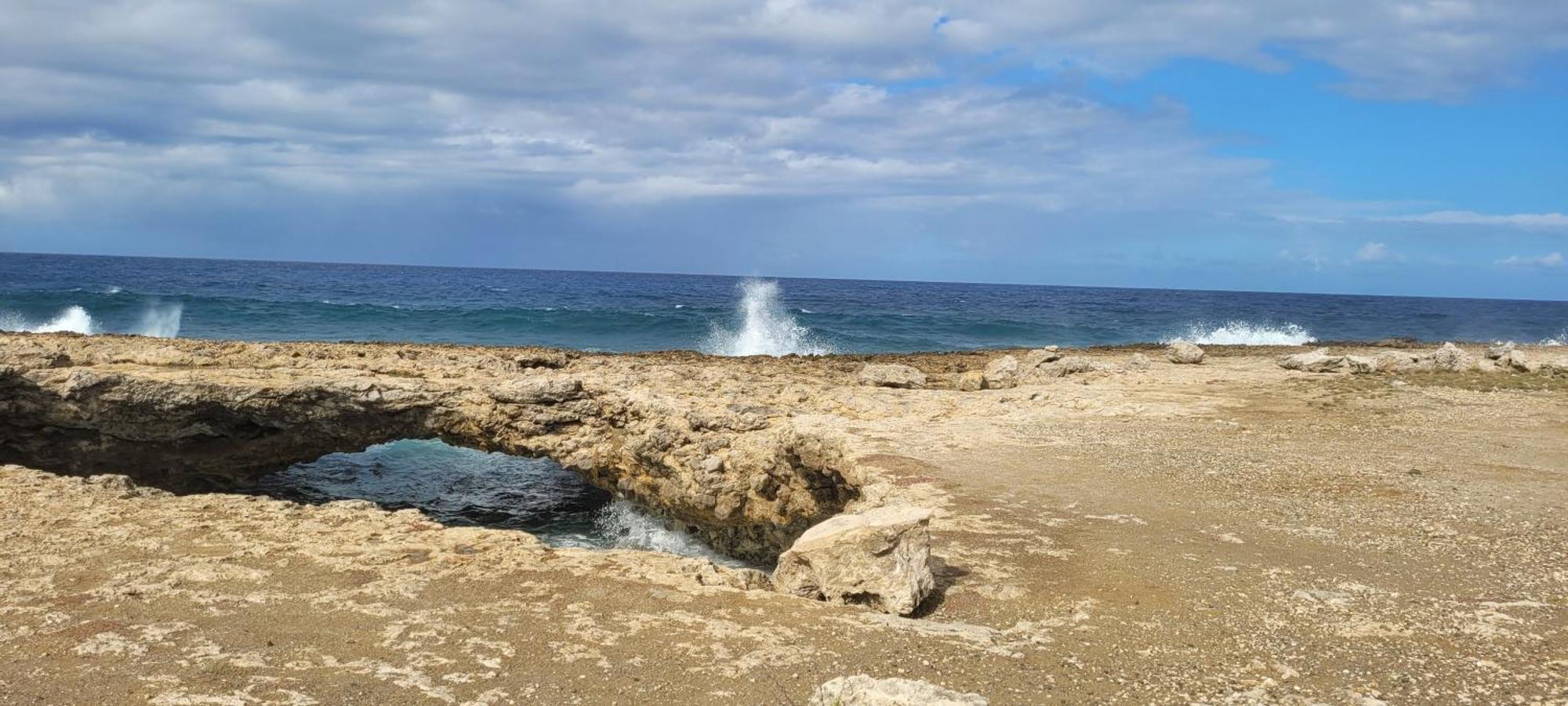 Cattleya Apartments Curacao Willemstad Esterno foto